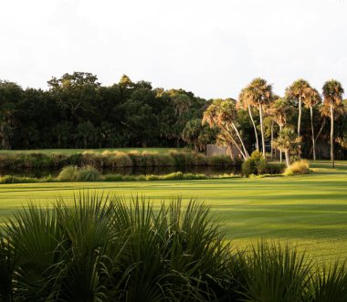 Golf sahasında Güney Carolina 'da gün batımı