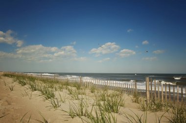 Güneşli sahil gününde kum tepecikleri