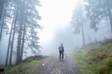 Sisli havada ormanda yürüyüş yapan bir adam.