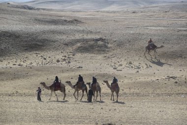 Mısır çölünde beş dromedari ve atlıları