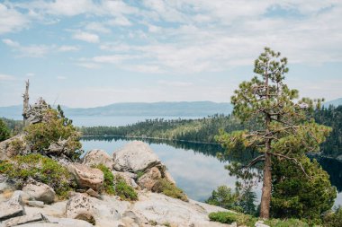 Uzakta dağlar ve çam ağaçları olan bir göl manzarası.