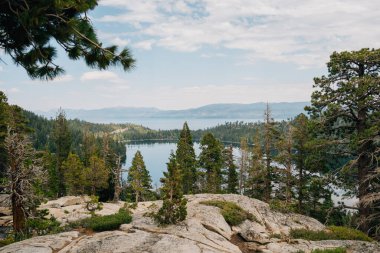 Çam ağaçlarının manzarası, bir göl ve uzak dağlar.