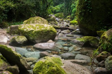 Beautiful view to green waterfall in Atlantic Rainforest mountain clipart