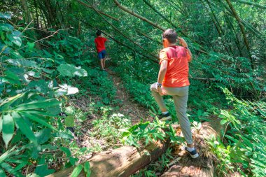 Mutlu çocuklar Tayland 'da tropikal bir ormanda yürüyüş yaparken eğleniyorlar.