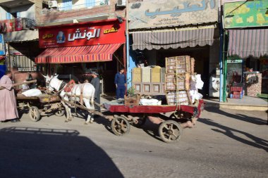 Mısır 'da Günlük Yaşam: Hızlı Bir Piyasada At Arabası