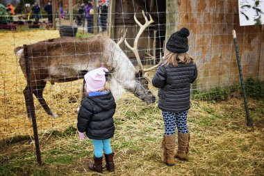 Genç kız kardeşler dışarıdaki büyük ren geyiklerine bakıyor.