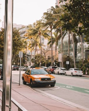 Taksi Miami Florida 'da bir gezgini bekliyor.