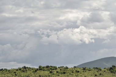 Oaxaca Meksika 'nın güzel yeşil manzarası. Meksika manzarası.