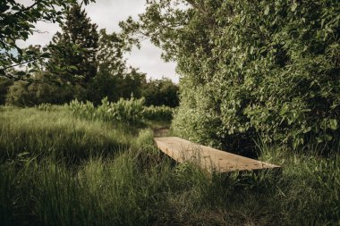 Wooden board laying over serene creek in the green countryside clipart