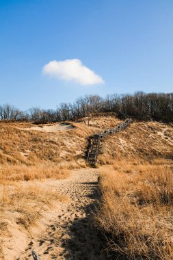 Indiana Dunes Ulusal Parkı 'ndaki merdiven.