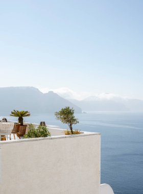 Santorini 'de beyaz teras, mavi deniz ve gökyüzüne karşı zeytin ağaçları.