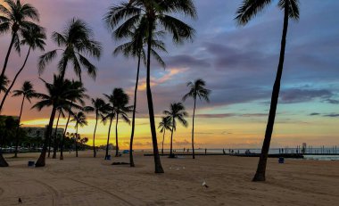 Waikiki Plajı 'nda gün batımı Palm Trees ile boş plajda