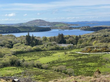 İrlanda 'nın yemyeşil kırsalında