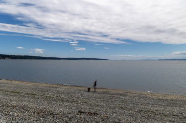 Uçsuz bucaksız mavi gökyüzü olan çakıllı plajda köpek gezdiren bir insan.