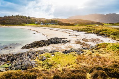 Beyaz Kum, Yeşil Çimen ve Sıcak Güneş ile Teal Sahili