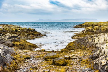 Rocky, Seaweed İskoç Sahil Koyu 'nu kapladı