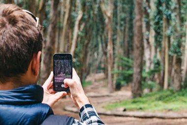 Bir insan akıllı telefonuyla ağaçların manzarasını yakalar.