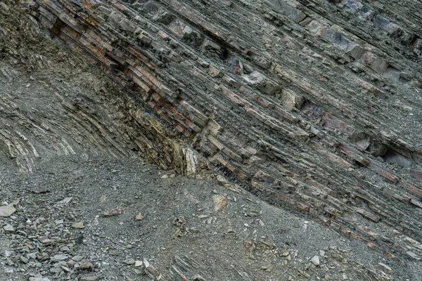 Stock image Slices of chondrite rock on the slopes of Caucasus mountains