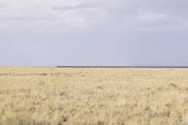 A far away train on a flat dried grass terrain clipart