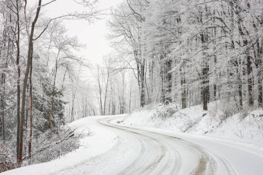 Kış mevsiminde karla kaplı ağaçlarla çevrili dolambaçlı toprak yol