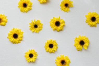 Beyaz kumaş arkaplanda eşit aralıklarla ayçiçekleri