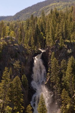 Ormandaki bir dağda kayalık bir uçurumdan düşen yüksek bir şelale.