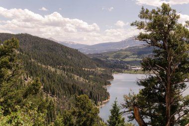 Uzak tepeleri olan sakin bir göle bakan ormanlık bir dağ yamacı
