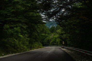 Gürcistan 'ın Kafkasya dağlarında yol