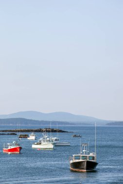 Boats moored in Bar Harbor, ME vertical clipart