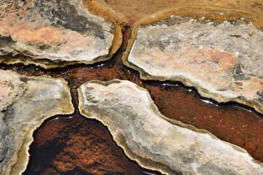 Meksika, Oaxaca 'daki Hierve el Agua' da taşlaşmış formlar.