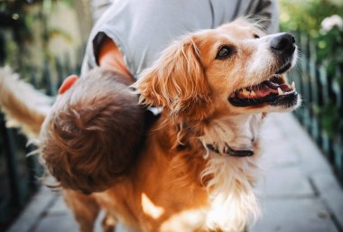 Küçük çocuk köpeğini kucaklıyor.