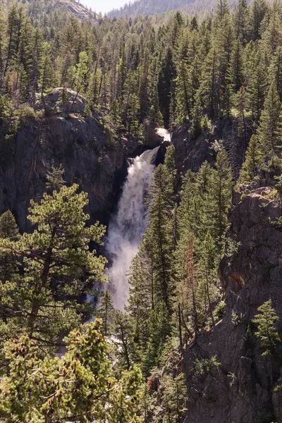 Ormanda çağlayan güçlü bir şelale.