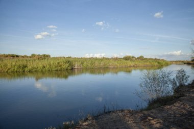 Aşağı Colorado nehrinin bataklıkları Yuma, AZ