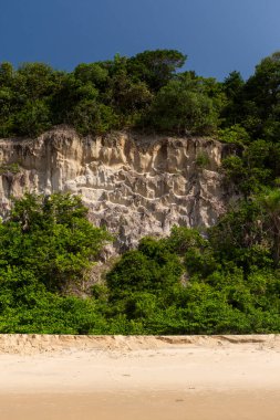 Vahşi Baa dos Golfinhos sahilindeki kayalıkların detayları. 