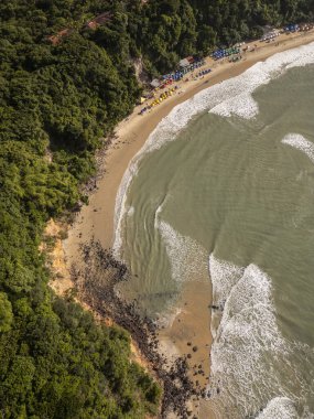 Vahşi sahil manzarası ve Pipa 'daki yeşil yağmur ormanı.