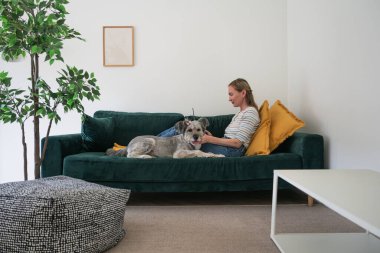 Evde köpeğiyle dizüstü bilgisayarda çalışan serbest çalışan bir kadın.