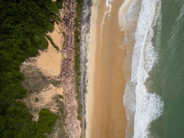 Beautiful aerial view to wild beach with orange sandy cliff clipart