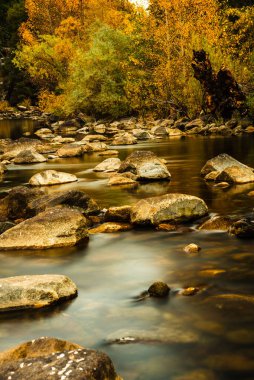 Yosemite Ulusal Parkı 'nda serin nehir yatağı ve sonbahar yaprakları.