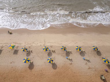 Tamba, Joo Pessoa 'daki plaj şemsiyelerine güzel bir hava manzarası. 