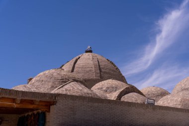 Tepesinde bir kubbe ve tepesinde bir kuş olan bir bina.