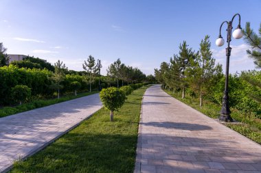 Yolu ve ağaçları olan bir park.