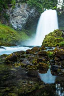 Koosah Şelalesi gür bir orman manzarasındaki yosunlu kayalara yansıyor.