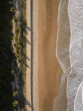 Pipa 'daki vahşi sahildeki hindistan cevizi palmiyelerine güzel bir hava manzarası.
