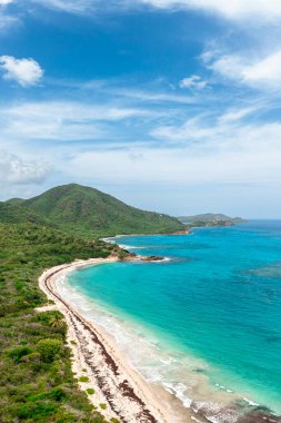 Karayip Denizi tarafından kıyıya vurulan palmiye püsküllü plaj