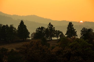 Dumanlı sisli ve siluetli ormanlı ağaçların üzerinde gün batımı.