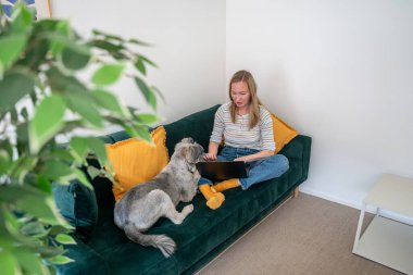 Evde kanepede oturmuş köpeğiyle dizüstü bilgisayarda çalışan bir kadın.