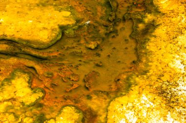 Yellowstone jeotermal mineral dokusuna yakın çekim sarı renklerle