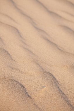 Kum denizinde zar zor görünen bir çakıl taşı.