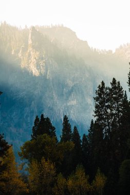 Güneş ışığı Yosemite 'de yükselen bir dağı ve ağaçları nazikçe aydınlatıyor..