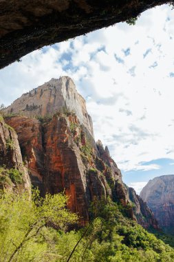 Ağlayan Kaya Zion Ulusal Parkı Damlayan Su